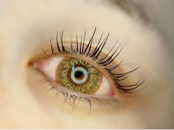 eyelashsalon LUPUAの写真/《まつげパーマでナチュラルぱっちりアイ♪》大人女性向き、自まつ毛を最大限に長く見せる自然な仕上がり◇