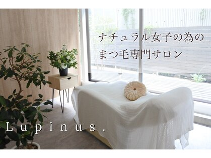 ルピナス(Lupinus.)の写真