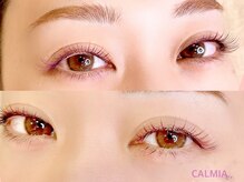 カルミア アイ(CALMIA., eye)/ライプパープル120本