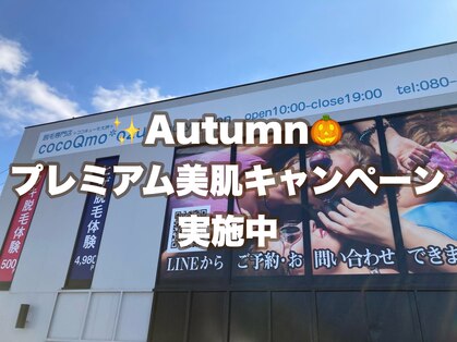 ココキューモオオズ(cocoQmo ozu)の写真