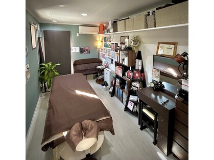 フェザー(Feather)の写真