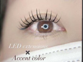 プティット シュシュ(Petit Chouchou)/フラットマットラッシュLED140本