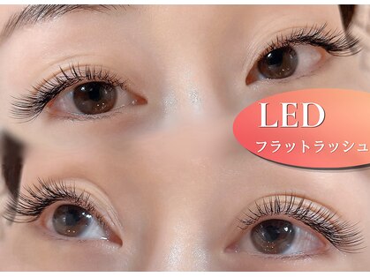 アテアイラッシュ 津久野店(ate eyelash)の写真