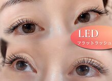 アテアイラッシュ 津久野店(ate eyelash)