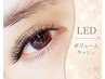 【再来】 ☆LEDエクステ☆ ボリュームラッシュ500本 11500円