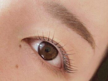 Mアイラッシュの写真/【自然な仕上がり】大人上品まつエクなら当店へ◎《高い技術×豊富な知識量》で理想の目元に仕上げます♪
