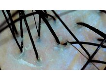 ミノオビュートガーデン(MINOH BEAUT garden)/