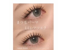 シル バイ オウル(cil by owl)