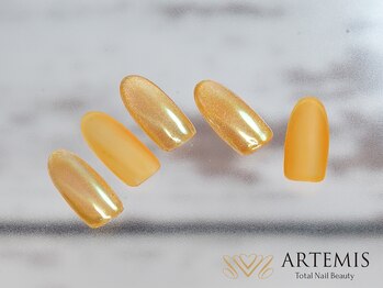 アルテミス(ARTEMIS)/シンプルB 