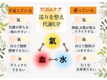 ヨサパーク リボーン(YOSA PARK Reborn)/YOSA【漢方+リンパ×温熱痩身】