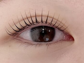 ローラン(LORAN)/ストレートマツパ