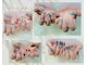 ネイルサロンミルティア(Myrtia)の写真