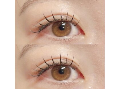 リンク(LINC.)の写真