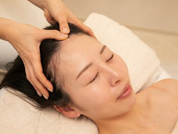 ワイアンドワイ(Y&Y)/至福のドライヘッドスパ/平塚