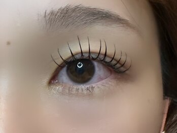 フリー#240(Free#240)/フラットラッシュ140本