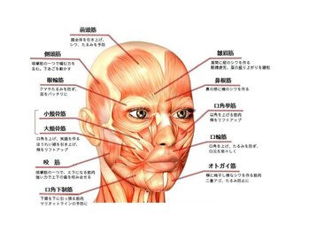 アオイスター(AOIstar)/顔の筋肉　上げてく♪