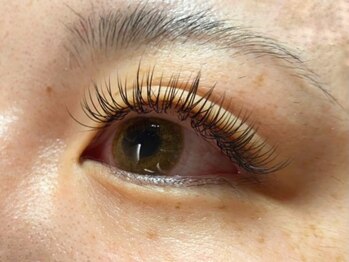 ウルカ アイラッシュ(uruka EYELASH)/フラットラッシュ　160本