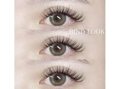 グラッディ(Glady)の写真