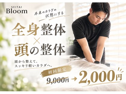 ブルーム(Bloom)の写真