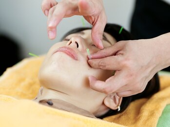 ふくろうの樹治療室/