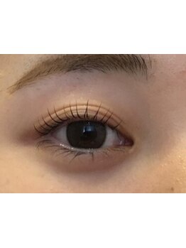 初めての方にオススメ