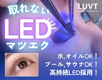 ルブト 北浜(LUVT)