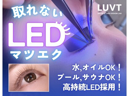 ルブト 北浜(LUVT)の写真