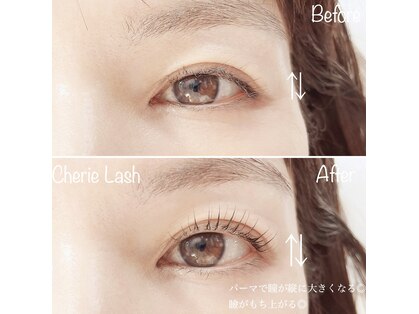 シェリーラッシュ(Cherie Lash)の写真