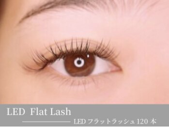 ベルル(Bellulu)/まつげエクステ