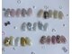 チイネイル(Chii_Nail)の写真