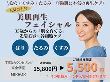 ミラー(MIRROR)