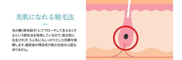 ディオーネ 新潟けやき通り店(Dione)のサロンヘッダー