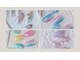 ハニエル(Haniel)の写真