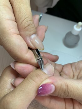 メイプルリーフ/