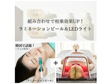 ナプラ(Naplu)