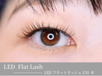 ベルル(Bellulu)/まつげエクステ