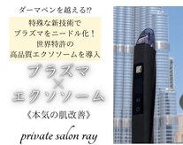 レイ(ray)