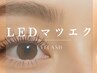 【Eye/モチ1.5倍！LEDマツエク】　LEDセーブルラッシュ　つけ放題　￥8910