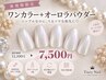 【新規限定】【ワンカラー+オーロラパウダー】【12100→7500】