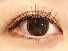 トゥディズ(Today's)/シングルラッシュ　100本￥6980