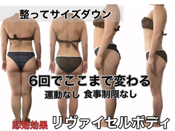 クリア(CLEAR)/リヴァイセルボディ