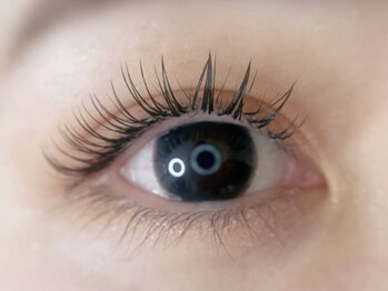 ブリンク(blink)の写真/【&Healthy導入店】似合わせ提案×高技術で仕上がりに納得◎品のある大人上品な目元を叶えます♪