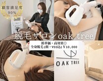 オークツリー(oak tree)