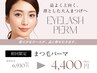 【新規人気NO.2★★】まつ毛パーマ6,930→4,400[恵比寿/代官山/マツパ]