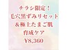 【チラシ限定】毛穴の黒ずみリセット＆極上卵肌　育成ケア¥8,960