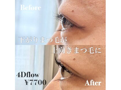 メメ(meme)の写真