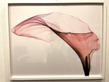 リラクゼーションスペース ニイチニ(Relaxation Space 212)/オーナーこだわりの絵