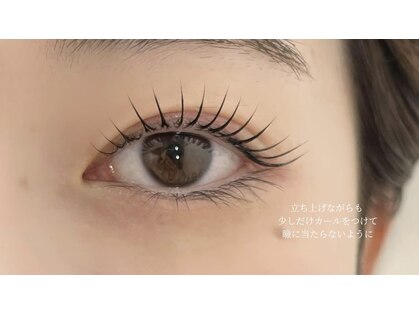 ミニョン(mignon)の写真