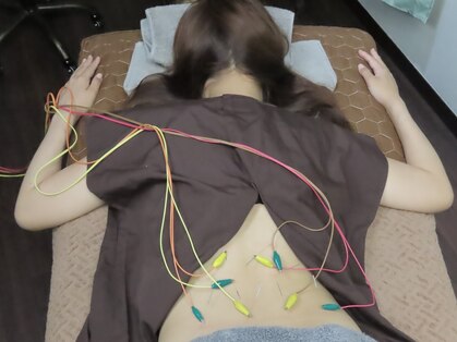 はりつばさの写真