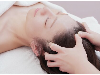 クラッシーガール ダンディエール(QlassyGirl DANDYELL)の写真